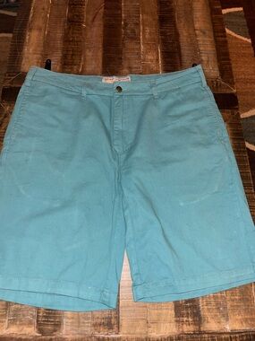 Men's Teal Cotton Chino Shorts